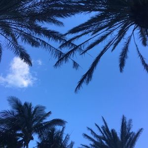 Meet your Posher, Izabela